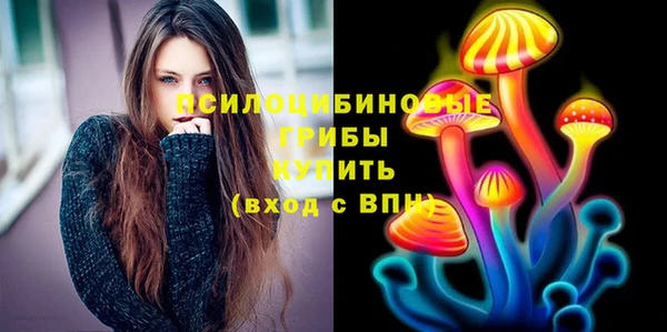 индика Коряжма